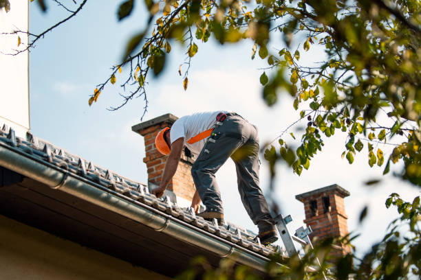 Best Roof Leak Repair  in Omak, WA